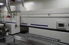 2008 Hybrid 3-zone Tunnel Oven